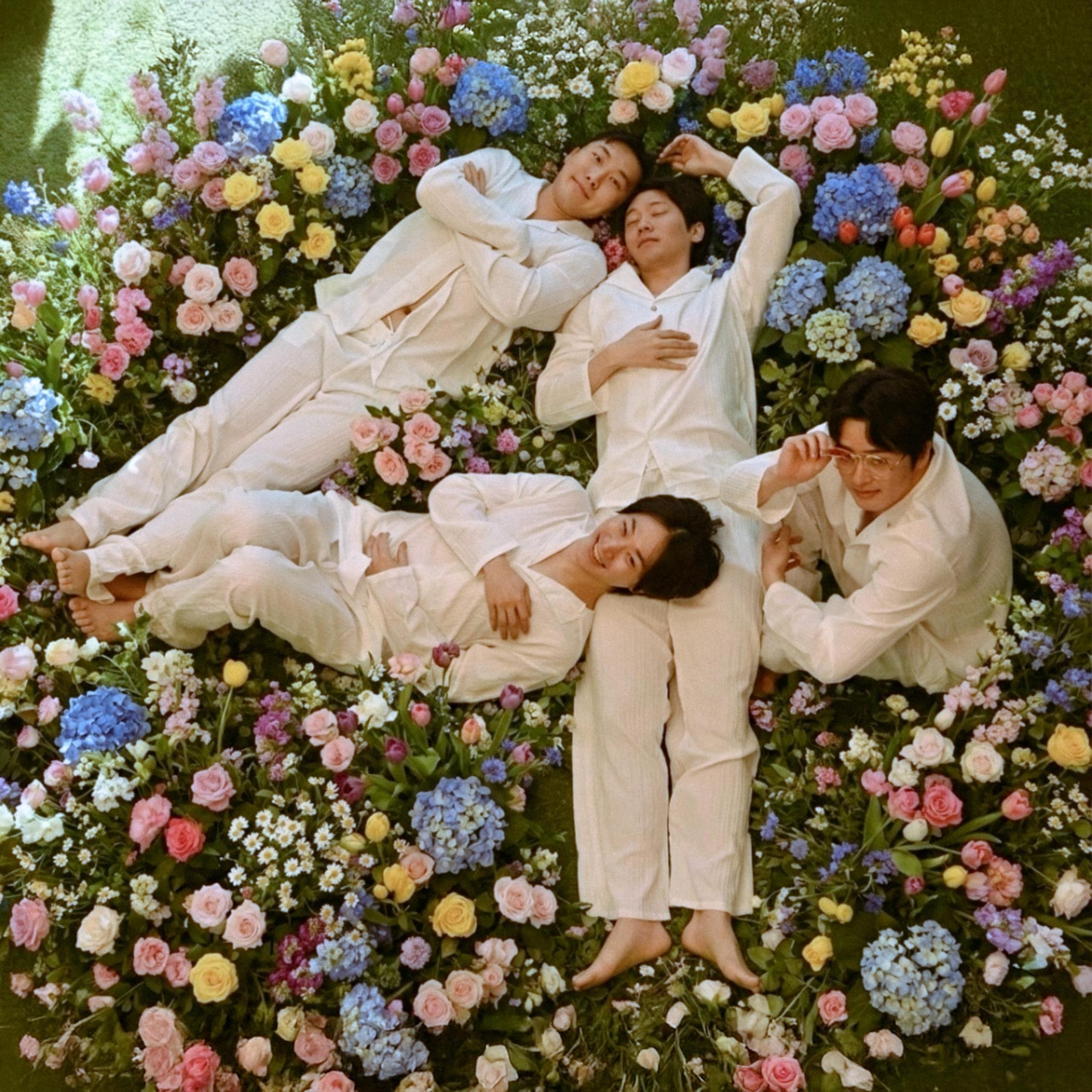 Image Cover
